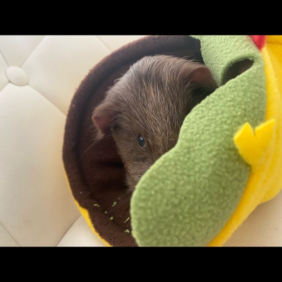 Meet your Posher, Jaime - Picture 16 of 16